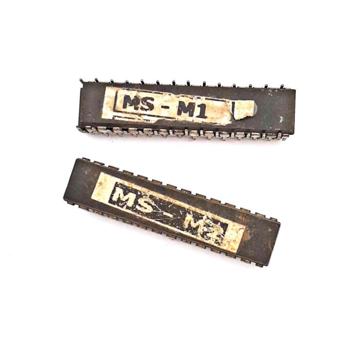 MS M1/MS M2 Inverter Microcontroller IC